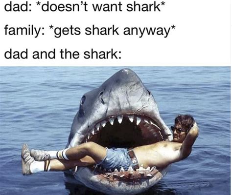 shark memes   honor  beloved shark week happy shark