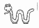 Snake Coloring Pages Kids Drawing Animal Animals Printable Print Snakes Kid Fox Colouring Cobra Children King Outline Clipart Color Drawings sketch template