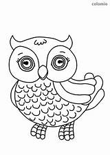 Eule Ausmalbilder Owl Waldtiere Eulen Ausmalbild Tiere Malvorlage Uhu Bonitos Ast sketch template