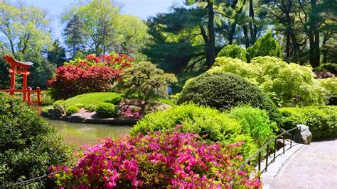 brooklyn botanic garden  york usa traveldiggcom