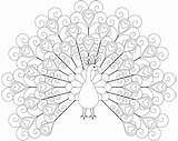 Peacock Coloring Pages Printable Print Colouring Kids Color Drawing Outline Hearts Heart Tattoo Mandala Peacocks Sheets Patterned Tail Sweet Realistic sketch template