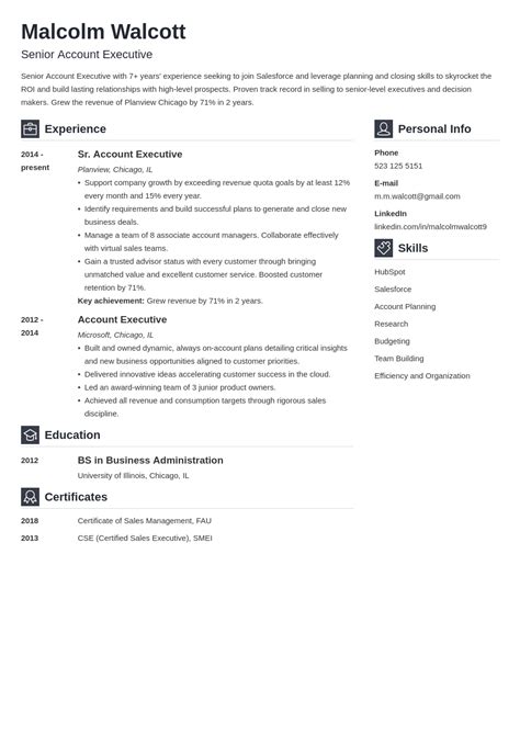 account executive resume sample   examples