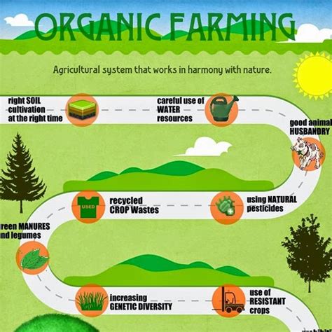 organic  inorganic foods