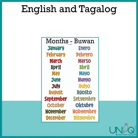 uniq laminated educational wall chart  calendar months english