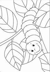 Caterpillar Coloring Raupe Nimmersatt Schmetterling Kleurplaat Kleine Rups Malvorlage Mandalas Frühling Malvorlagen Ausmalen Kigaportal Rupsje Nooitgenoeg Tissue Käfer Fruhling Wenn sketch template