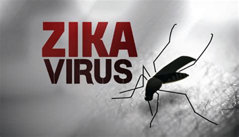 noticiacla eerste geval van zika bevestigd bij zwangere vrouw  aruba