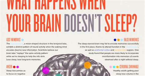 what happens to your brain when you don t sleep attn