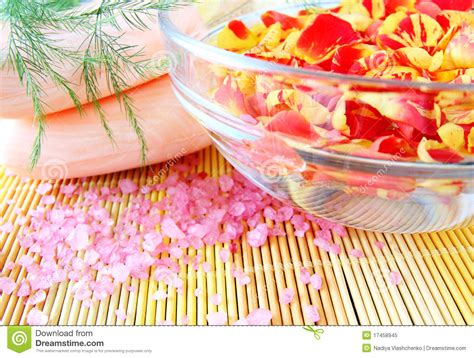 rose petals spa stock image image  bathing relaxation