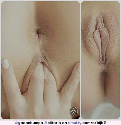goosebumps clitoris vagina pussylips pussy slit