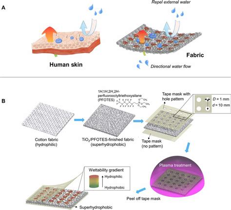 schematic illustration  fabrication process   skin  fabric  scientific