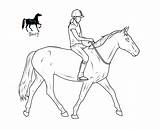 Horse Deviantart Line sketch template