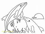 Dolphin Coloring Pages Pink Getdrawings Printable sketch template
