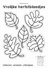 Kleurplaat Herfstblaadjes Herfst Herfstbladeren Slinger Knutselen Afbeeldingsresultaat Vrolijke Salvat Elst sketch template