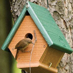 wren house plans easy diy project bird house kits wren house bird house