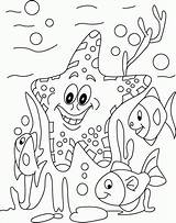 Coloring Starfish Fish Pages Kids Printable Animal Sea Along Other Wodne Kolorowanki Zwierzęta Sheets Colouring Ocean Star Cartoon Choose Board sketch template