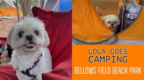 Lola’s First Camping Trip Bellows Field Beach Park Youtube