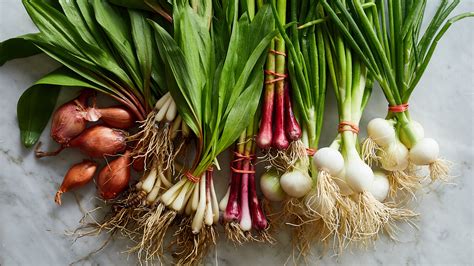 onions garlic shallots     york times