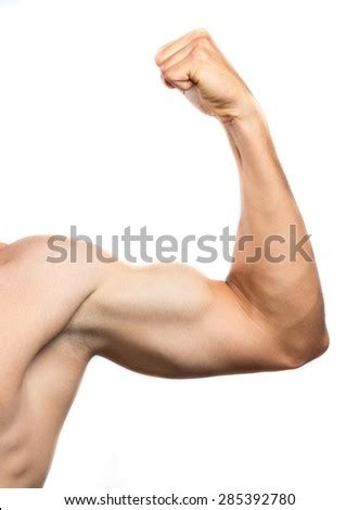 strong man arm stock photo  shutterstock