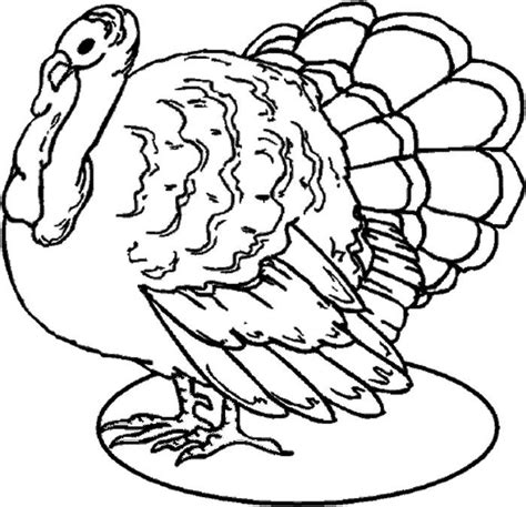 large turkey coloring pages turkey coloring pages animal coloring