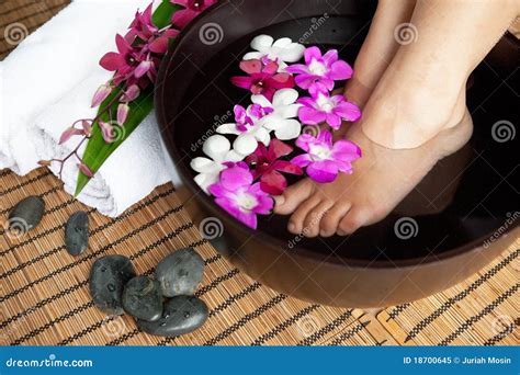 feet  orchid spa bowl stock image image  oriental