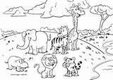 Malvorlage Ausmalbilder Ausmalbild Malvorlagen Dieren Kleurplaten Seite sketch template