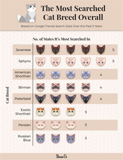 popular cat breed    state