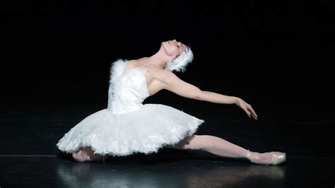the dying swan natalia osipova the royal ballet youtube