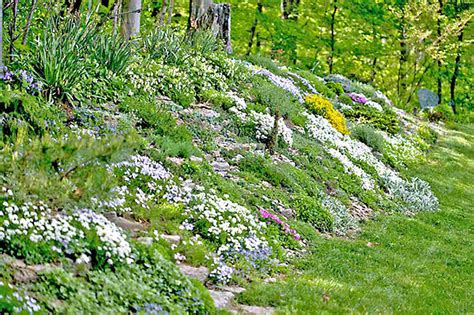 hillside landscaping ideas  maximize  yard