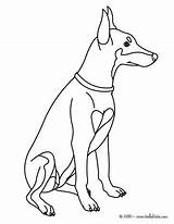 Doberman Coloring Pages Dog Labrador Pinscher Retriever Drawing Printable Puppy Kids Colouring Fluffy Cute Getcolorings Face Color Adult Drawings Getdrawings sketch template