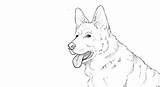 Drawing Dog Shepard German Shepherd Puppy Easy Simple Pencil Dogs Coloring Drawings Pages Face Draw Getdrawings Step Cool Paintingvalley sketch template