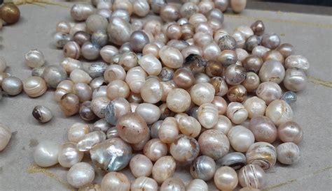 mm rough pearls loose freshwater pearls assorted pearls assorted