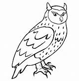 Owl Horned Coloring Great Pages Getcolorings Getdrawings Drawing sketch template
