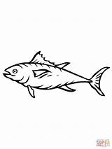Coloring Tuna Color Fish Sheet Pages Printable Supercoloring Drawing Drawings 1600px 03kb 1200 sketch template