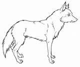 Wolf Reference Blank Coloring Deviantart Drawing Digital Pages Da Experiment Favourites Tools Own Forum Add Books sketch template