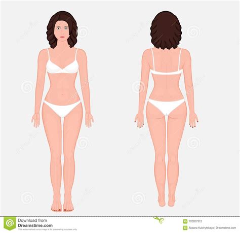 Cuerpo Anatomy European Humano De La Mujer Ilustración Del