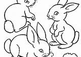 Rabbit Coloring Pages Brer Printable Getcolorings Getdrawings sketch template