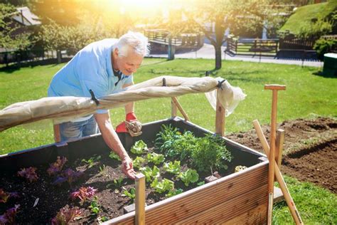 ein hochbeet im garten anlegen tipps fuer hobbygaertner