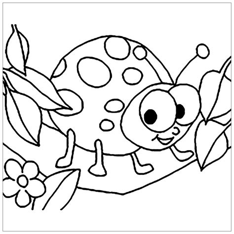printable insect pictures  kids