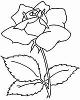 Ausmalbilder Blumenranken Schone sketch template