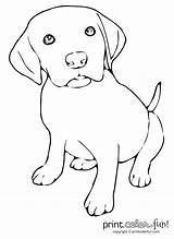 Coloring Print Printable Puppy Pages Dog Cute Beagle Color Lab Puppys Stencils Labrador Puppies Drawing Click Yellow Kids Easy Button sketch template