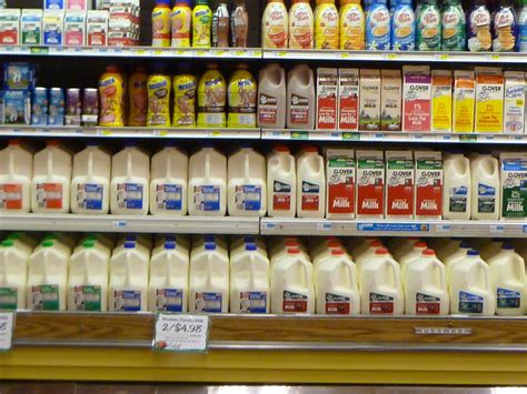 wife   dairyman churned  cali milk buying tip   avoid buying oxidized milk