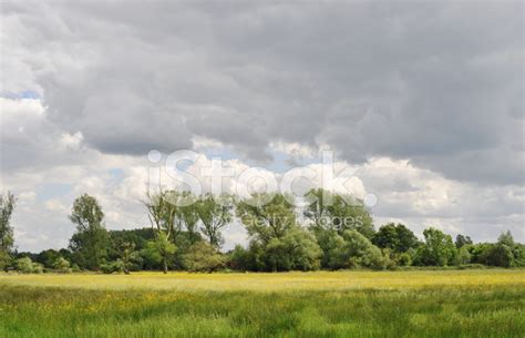 nature reserve stock photo royalty  freeimages