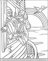 Coloring Noah Dove Olive Branch Thecatholickid Ark Returns Pages Bible Visit Stories Noahs sketch template