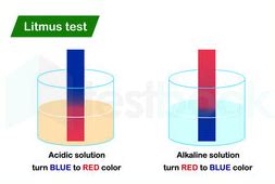 solved    color  litmus solution     acid