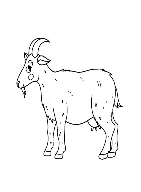 farm cute goat coloring page  printable coloring pages