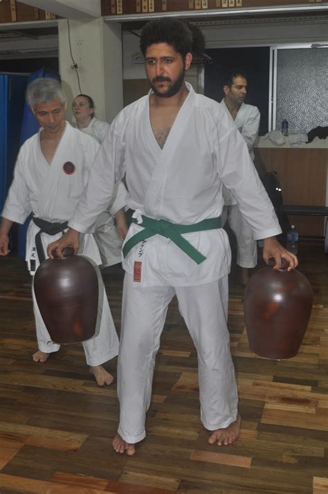 arizona karate journal of a grandmaster soke body