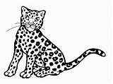 Leopard Snow Coloring Popular Animals sketch template