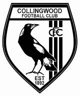 Collingwood Club Bigfooty Afl Magpie Logodix Shields Bulldogs sketch template