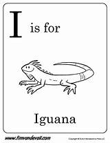 Iguana Coloring Letter Timvandevall Alphabet Kids sketch template