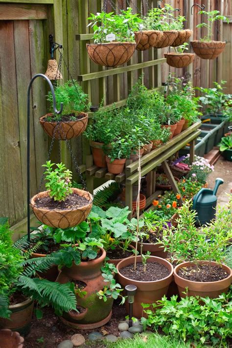 home garden ideas  nurtures nature